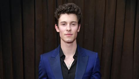 Shawn Mendes On Rumors About His Sexuality: 'It's Hurtful'.